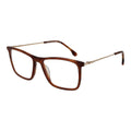 Brown Metal Glasses (Frames)