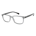 Transparent Injected Glasses (Frames)