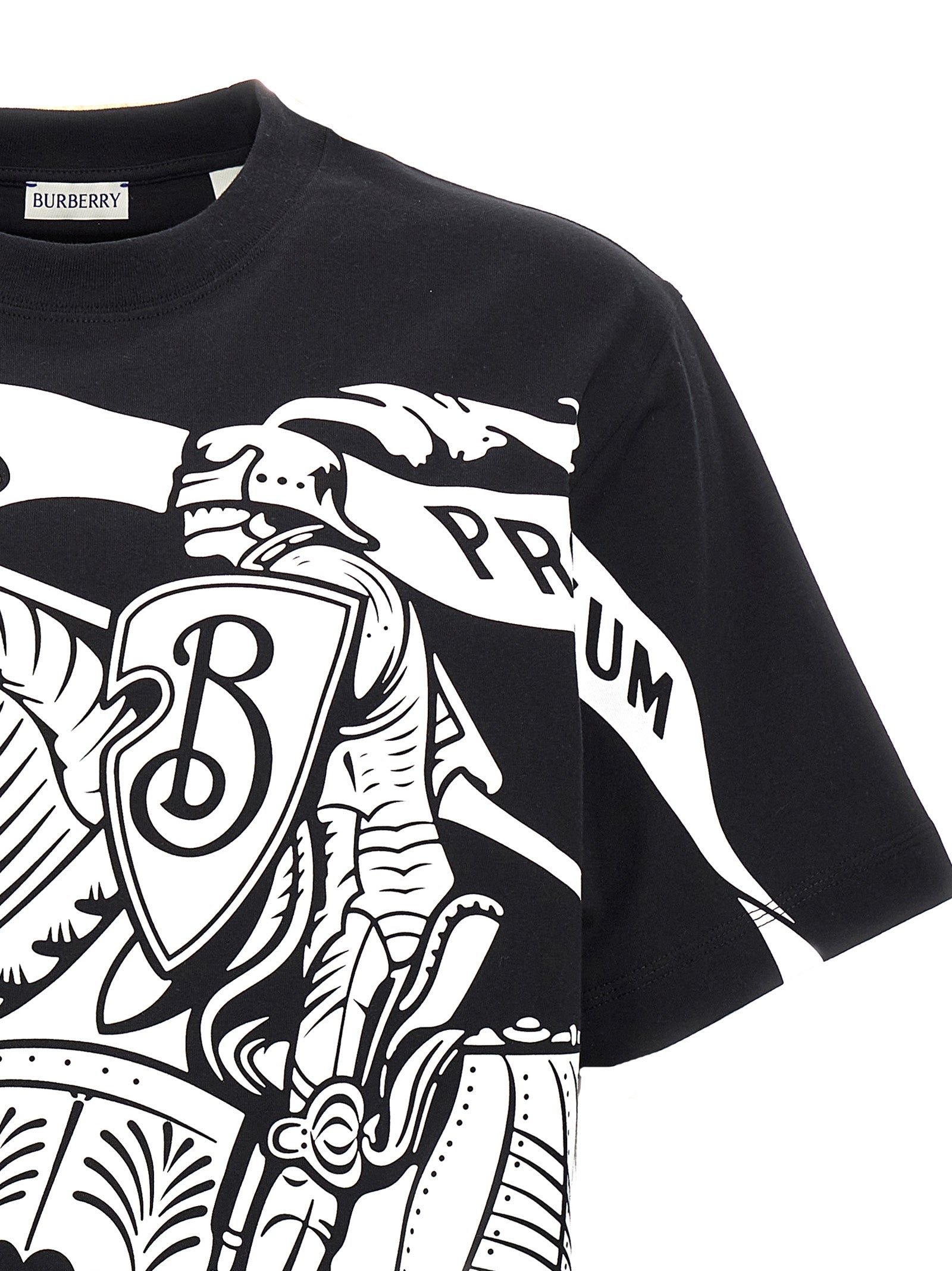 Bicolor Cotton T-Shirt