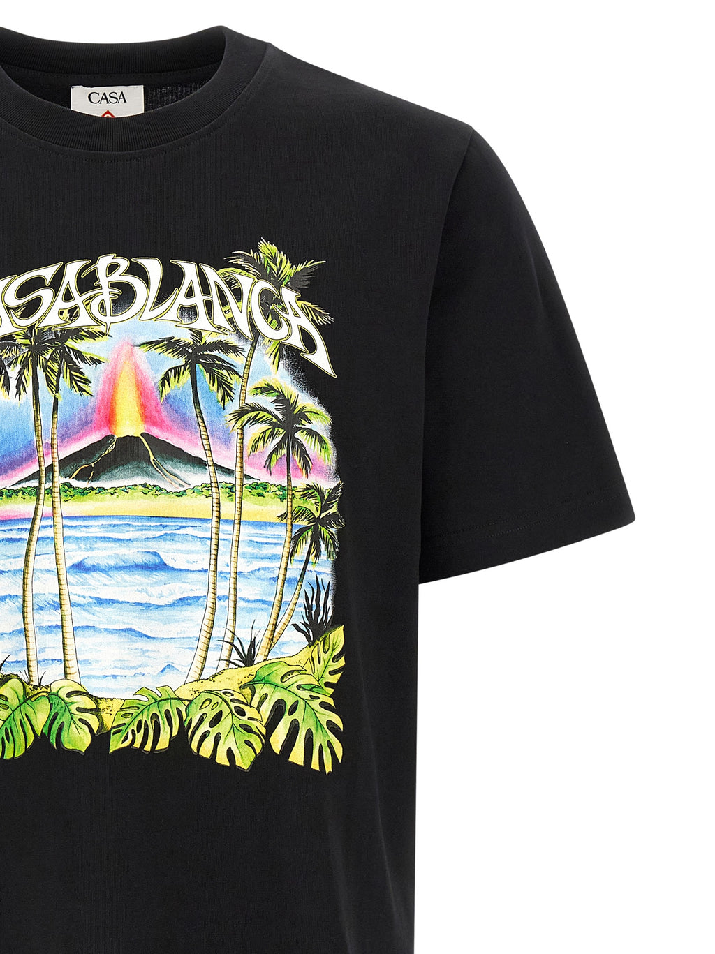 Black Organic Cotton T-Shirt