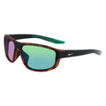 Brown Injected Sunglasses