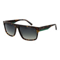 Brown Acetate Sunglasses